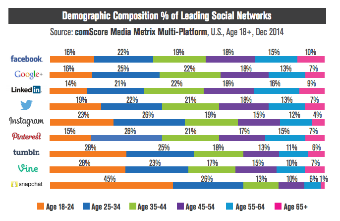 social media demographic composition