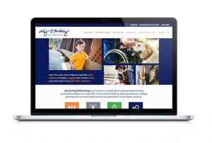 Check out Aly Sterling Philanthropy's website for more details on their consulting services!
