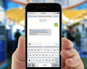 Snowball text to give tools are a perfect way to collect donations quickly.