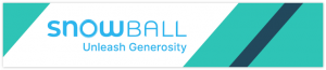 Snowball is one of the best crowdfunding platforms for growing nonprofit organizations.