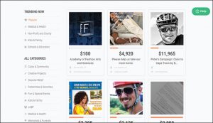 Using Fundly's crowdfunding platform is a fantastic online fundraising idea.