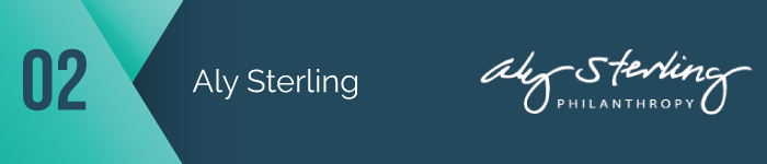 Aly Sterling of Aly Sterling Philanthropy is one of the top capital campaign consultants.