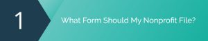 What form should my nonprofit file with form 990 software?