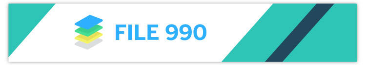 File 990 is the best nonprofit fund accounting software for filing your annual tax forms.