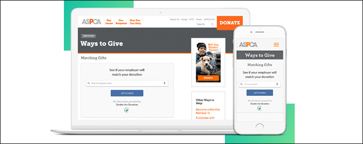 The Best Online Donation Tools Platforms For Nonprofits