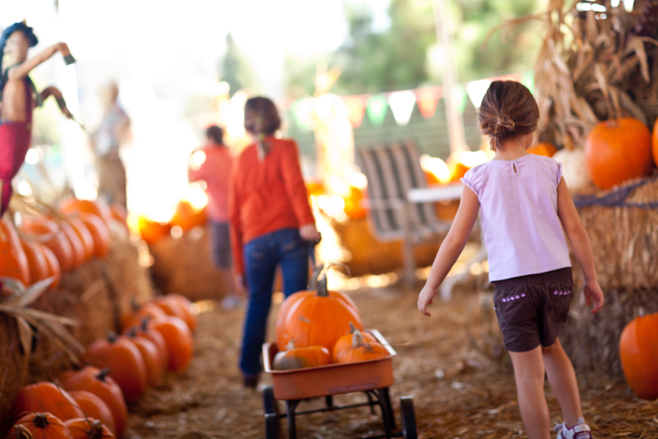 A fall festival is a great holiday fundraising idea for schools.