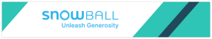 Learn about this online donation software, Snowball.
