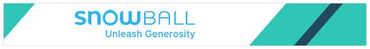 Snowball is a great virtual church software provider for fundraising.