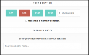 This image shows the RaiseDonors donation page