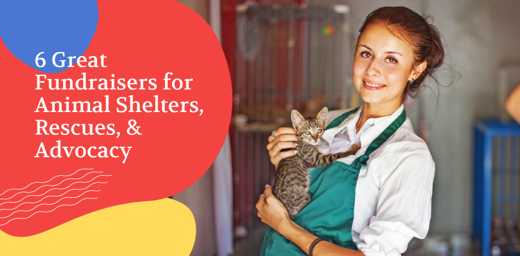 Animal shelters, charities, and welfare groups should have unique fundraisers that highlight their missions. Explore these powerful animal advocacy fundraisers!
