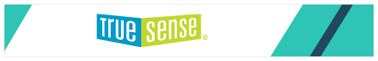 TrueSense Marketing is a Google Grants agency that will work side by side with your team.