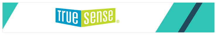 This section explores the offerings of TrueSense Marketing, a full-service Google Grants agency.