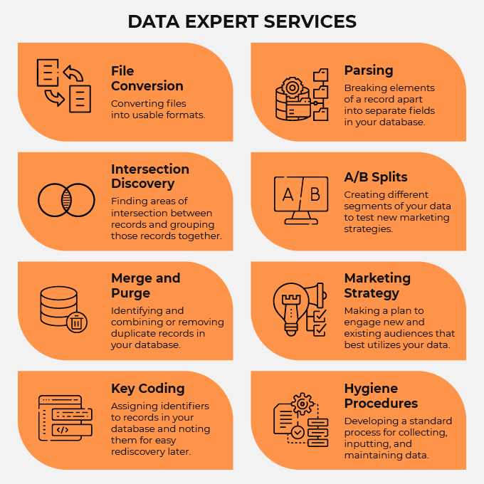Data experts can offer a variety of data hygiene services. 