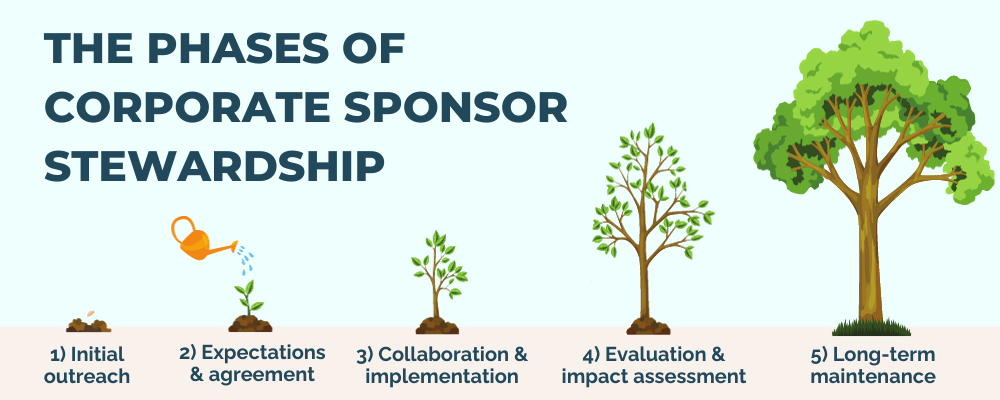 The phases of corporate sponsor stewardship