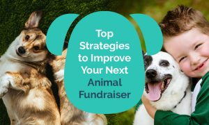 Follow these top strategies to improve your next animal fundraiser.