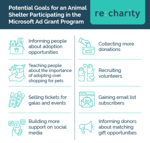 Using our animal shelter case study, we've outlined some potential goals for organizations participating in the Microsoft Ad Grant program.