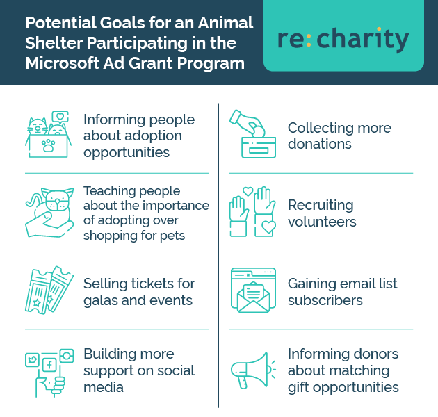 Using our animal shelter case study, we've outlined some potential goals for organizations participating in the Microsoft Ad Grant program.