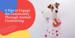 Connect with your supporter base with these animal fundraising ideas.