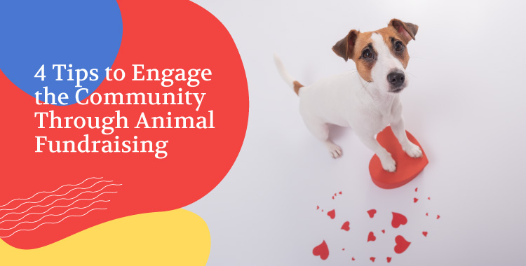 Connect with your supporter base with these animal fundraising ideas.