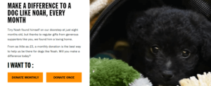 This is a screenshot of the Battersea Animal Shelter’s donation page that tells the emotional story of one of its beneficiaries.