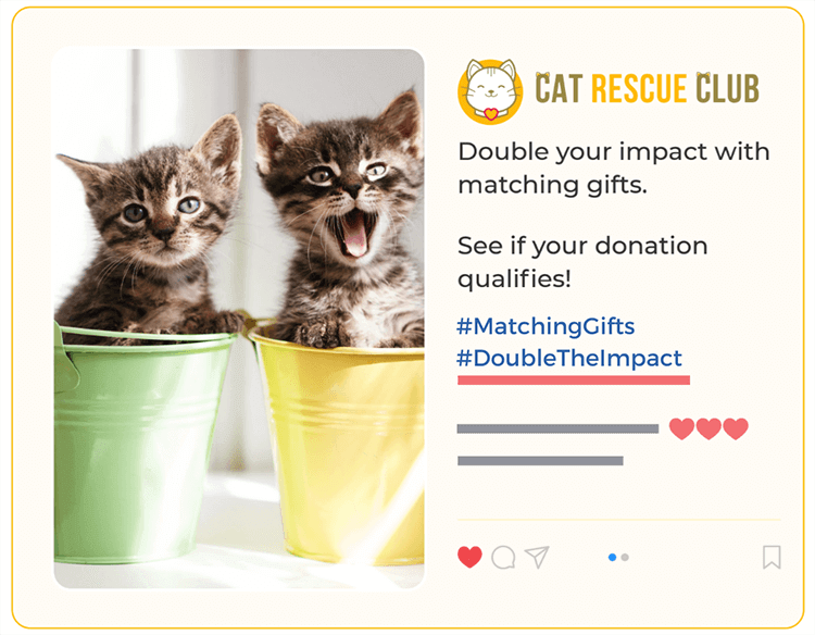 An example social media post of a nonprofit promoting matching gifts to its followers