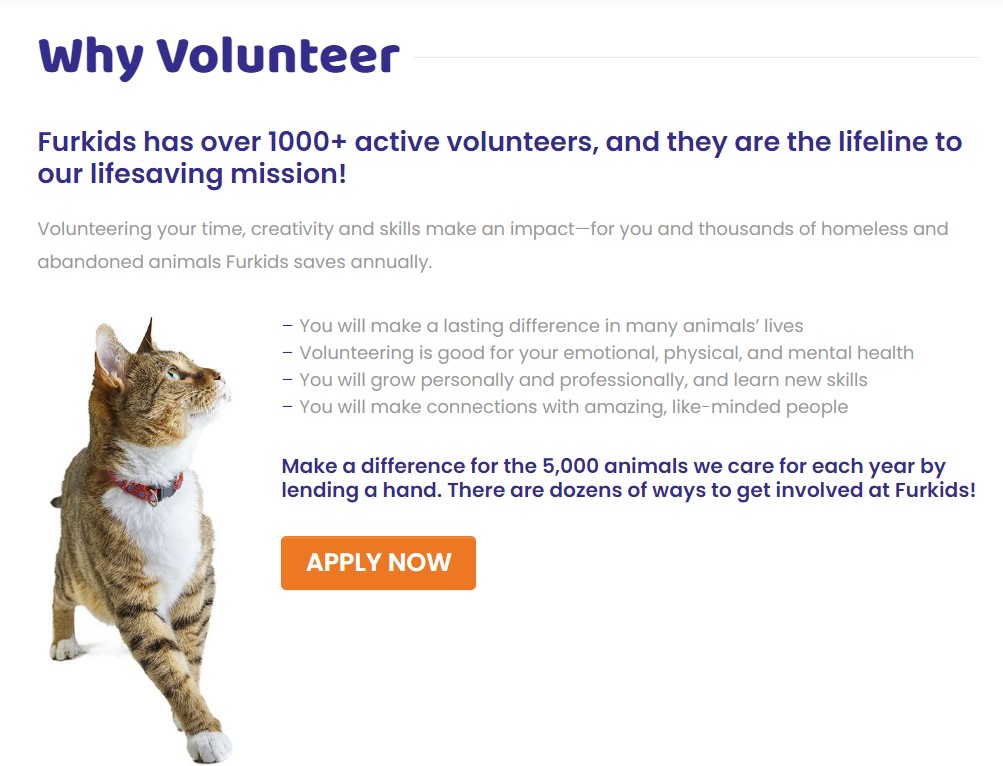 A screenshot of Furkids Animal Rescue’s volunteer page.