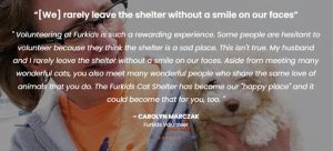 A screenshot of a testimonial from Furkids Animal Rescue’s volunteer page.