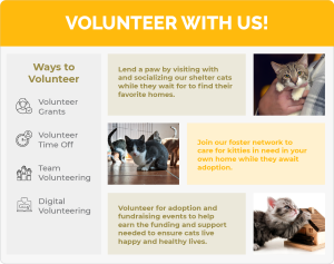 An example volunteer page for the hypothetical nonprofit Cat Rescue Club