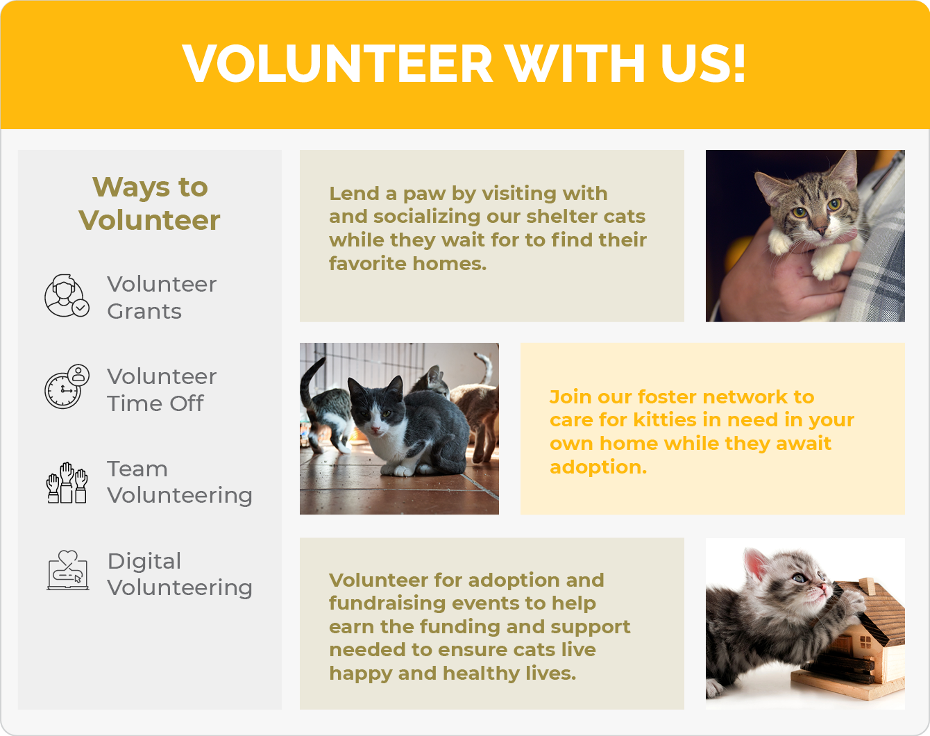 An example volunteer page with information about volunteer time off.