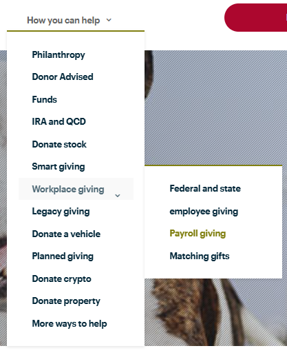 Driving payroll donations with a simple online experience