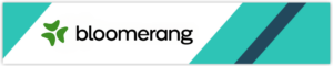 Bloomerang offers top nonprofit fundraising tools.