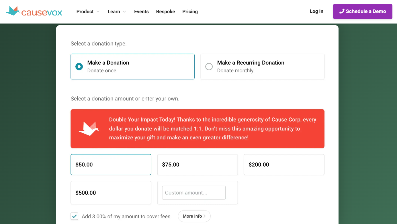 CauseVox Matching Grant Challenge Example