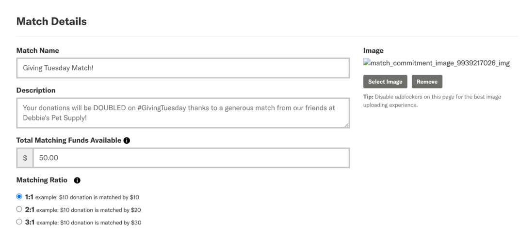 GiveGab Matching Grant Challenge Example 2